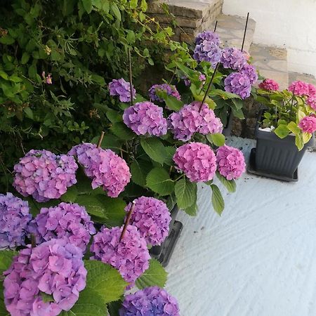 סאמוס Scorpios Hotel & Suites מראה חיצוני תמונה